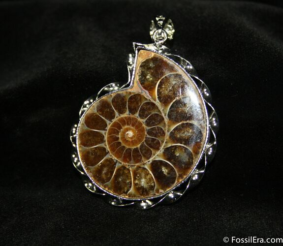 Ammonite Pendant #658
